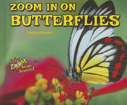 Zoom in on Butterflies - Book  of the Zoom In on Insects!