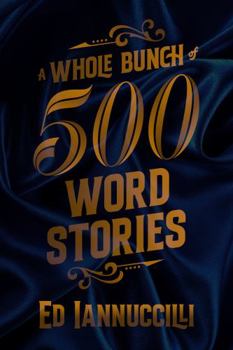 Paperback A Whole Bunch of 500-Word Stories Book