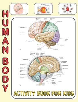 Human Body Activity Book For Kids: An Amazing Inside-Out Tour of the Human Body (National Geographic Kids) - Bones, Muscles, Blood, Nerves and How They Work (Coloring Books) (Dover Children's Science 