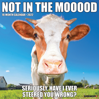Calendar Not in the Mooood 2022 Wall Calendar (Cows) Book