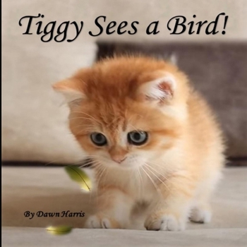 Paperback Tiggy Sees a Bird! Book