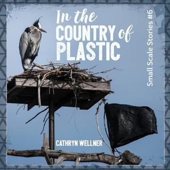 Paperback In the Country of Plastic Book