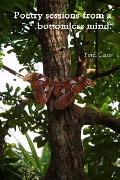 Paperback Poetry Sessions from a bottomless mind. [Dutch] Book