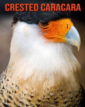 Crested Caracara: Amazing Facts & Pictures