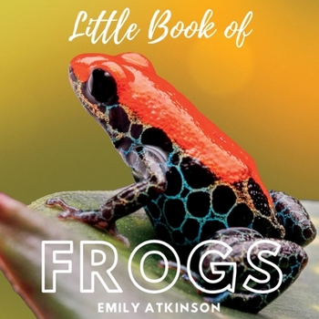Paperback Little Book of Frogs Book