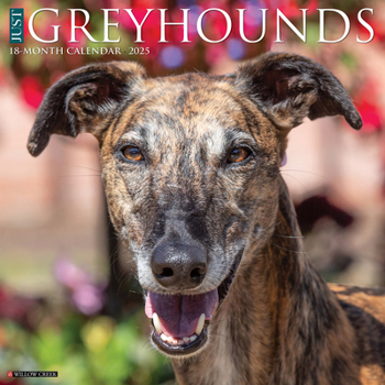Calendar Just Greyhounds 2025 12 X 12 Wall Calendar Book