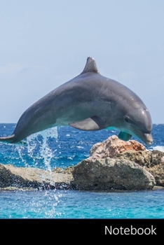 Paperback Notebook: 子供のためのイルカの本、イルӝ Book