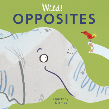 Board book Opposites Book