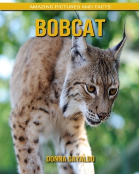 Paperback Bobcat: Amazing Pictures and Facts Book