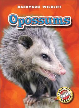 Opossums - Book  of the Backyard Wildlife