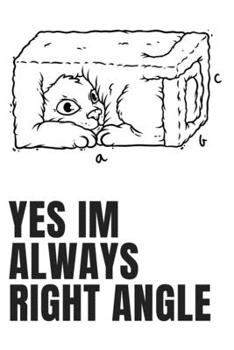 Paperback Yes Im Always Right Angle Book