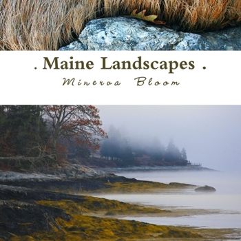 Paperback Maine Landscapes Book