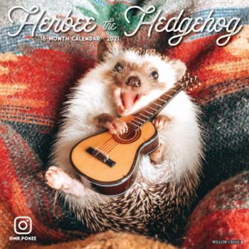 Calendar Herbee the Hedgehog 2021 Wall Calendar Book