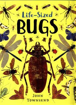 Hardcover Life-Sized Bugs Book