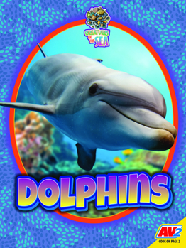 Paperback Dolphins Book