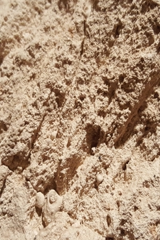 2020 Daily Planner Natural Rock Design 388 Pages : 2020 Planners Calendars Organizers Datebooks Appointment Books Agendas