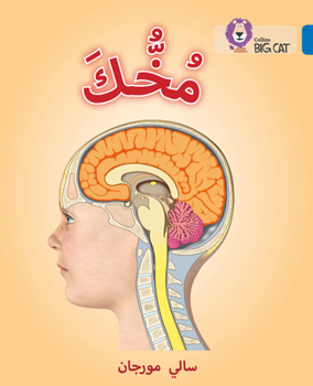 Paperback Collins Big Cat Arabic - Your Brain: Level 16 [Arabic] Book