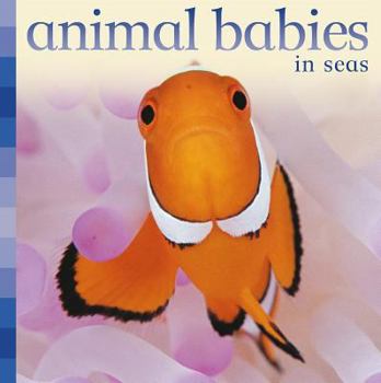 Animal Babies in Seas (Animal Babies) - Book  of the Animal Babies