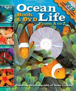 Hardcover Ocean Life: From A to Z [With DVD] Book