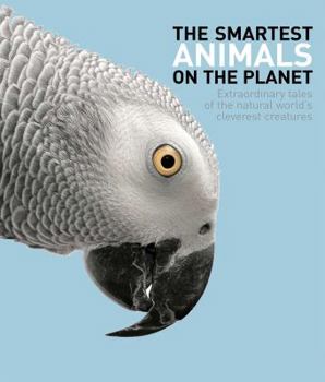 Hardcover The Smartest Animals on the Planet: Extraordinary Tales of the Natural World's Cleverest Creatures Book