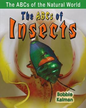Paperback The ABCs of Insects Book
