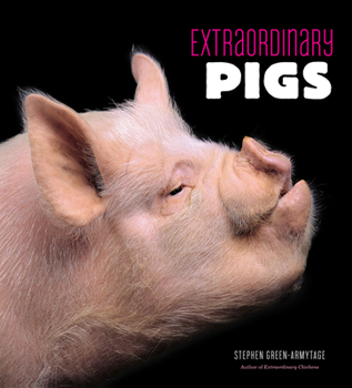 Hardcover Extraordinary Pigs Book