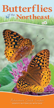 Spiral-bound Butterflies of the Northeast: Identify Butterflies with Ease Book