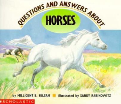 Paperback Questions and Answers about Horses Book