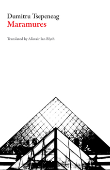 Paperback Maramures Book