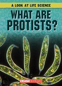 Library Binding What Are Protists? Book