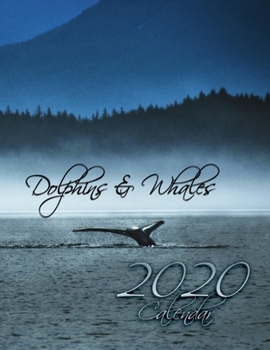 Paperback Dolphins and Whales 2020 Calendar: 14-Month Desk Calendar to Celebrate the World's Cetaceans! Book