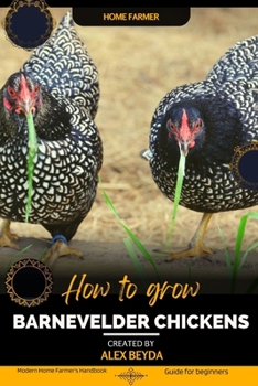 Paperback Barnevelder Chickens: Modern Home Farmer's Handbook, Guide for beginners Book