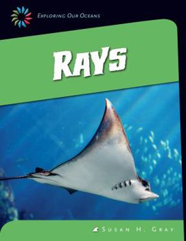 Rays - Book  of the Exploring Our Oceans