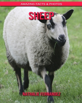 Paperback Sheep: Amazing Facts & Photos Book