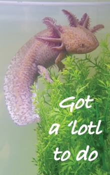 Paperback To do list notebook: Got a 'lotl to do Book