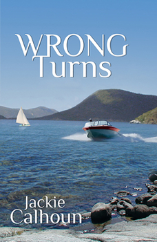 Paperback Wrong Turns Book