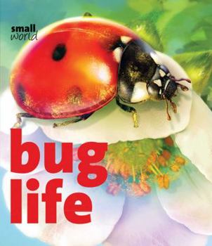 Hardcover Bug Life Book