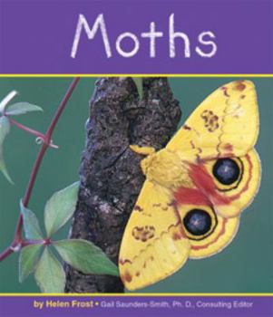 Moths - Book  of the Insects