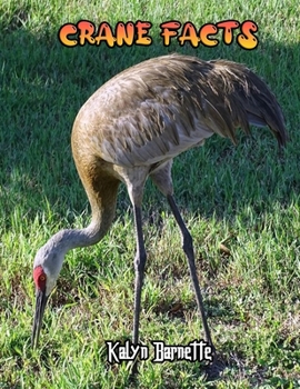 CRANE FACTS: CRANE fact for girl age 1-10 CRANE fact for boy age 1-10 facts about all about CRANE