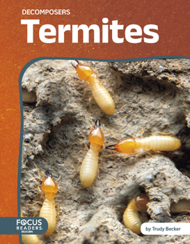 Library Binding Termites Book