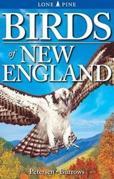 Paperback Birds of New England Book