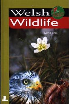 Paperback Welsh Wildlife Book