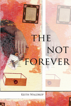 Paperback The Not Forever Book