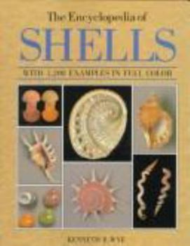 Hardcover The Encyclopedia of Shells Book