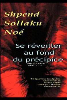 Paperback Se Reveiller Au Fond Du Precipice [French] Book