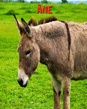 Paperback ?ne: Recueil pour Enfants de Belles Images & d'Informations Int?ressantes Concernant les ?ne [French] Book