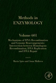 Mechanisms of DNA Recombination and Genome Rearrangements: Intersection Between Homologous Recombination, DNA Replication and DNA Repair (Volume 601)