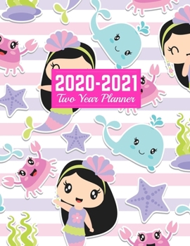 2020-2021 Two Year Planner: Neat Calendar Year Vision Planner (January 2020 - December 2021) - Monthly and Weekly Schedule Organizer and Journal Art Cover 00023187