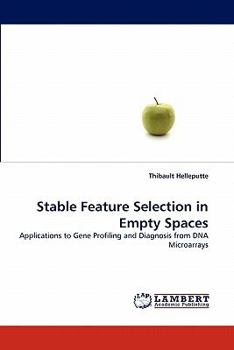 Paperback Stable Feature Selection in Empty Spaces Book