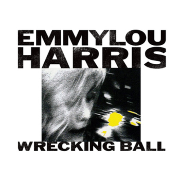 Vinyl Wrecking Ball Book
